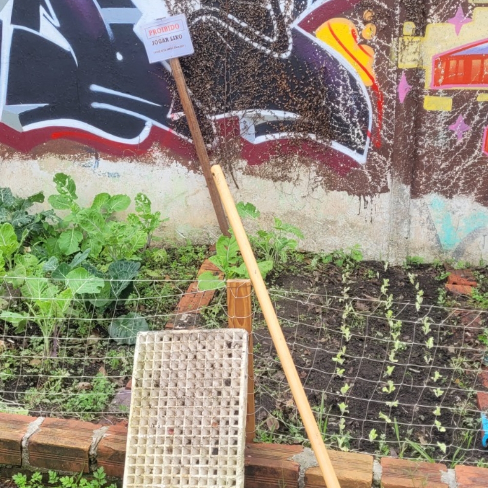 HORTAS COMUNITARIAS 03