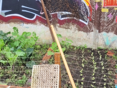 HORTAS COMUNITARIAS 03