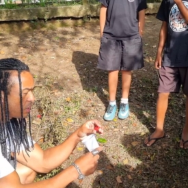 associacao dos rimadores dengue