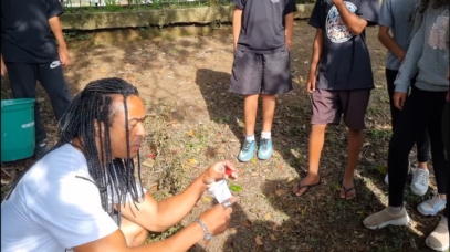 associacao dos rimadores dengue